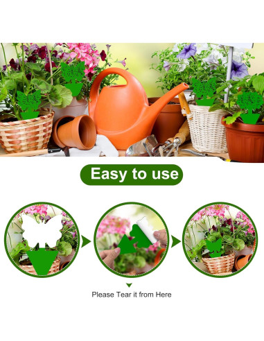 Trampas Adhesivas para Moscas de Fruta Boromine - Paquete de 60
