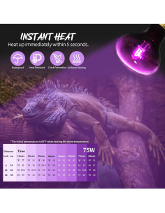 Bombillas de Calor Nocturno 75W FIVEAGE para Reptiles - Paquete de 2 2
