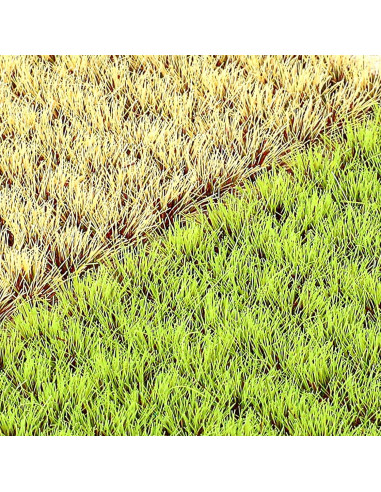 208PCS Hierba Artificial Meyeyaia para Paisajes Miniatura