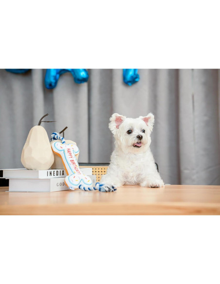 Juguete Interactivo para Perros Pawty Hueso de Cumpleaños Blanco Juguete Interactivo para Perros Pawty Hueso de Cumpleaños Blanco