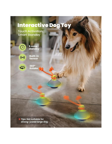 Bola Interactiva para Perros Xeuch XEUCH-BALL Azul 6.6cm