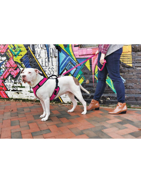 Arnés para Perros PetSafe EasySport Ajustable Acolchado Rosa Arnés para Perros PetSafe EasySport Ajustable Acolchado Rosa