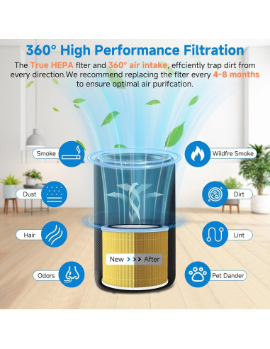 Paquete de 2 Filtros HEPA 14 PAYUDAL para Purificador Puro 240