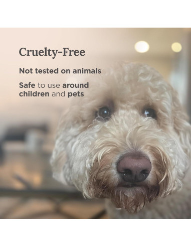 Vela Aromática Magnificent 101 Salvia y Madera de Cedro 170g