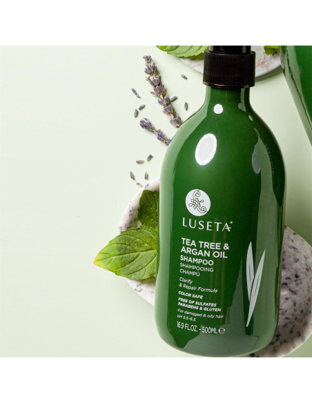 Champú Aclarador Luseta Árbol de Té y Aceite de Argán 500 ml Champú Aclarador Luseta Árbol de Té y Aceite de Argán 500 ml