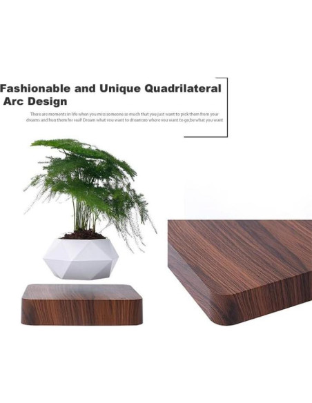 Maceta Flotante Magnética LMingKun - Decoración Moderna para Plantas Maceta Flotante Magnética LMingKun - Decoración Moderna para Plantas