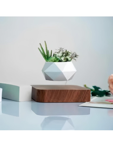 Maceta Flotante Magnética LMingKun - Decoración Moderna para Plantas