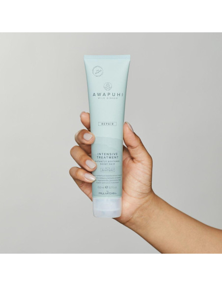 Mascarilla Capilar Paul Mitchell Awapuhi Jengibre 100 ml Mascarilla Capilar Paul Mitchell Awapuhi Jengibre 100 ml