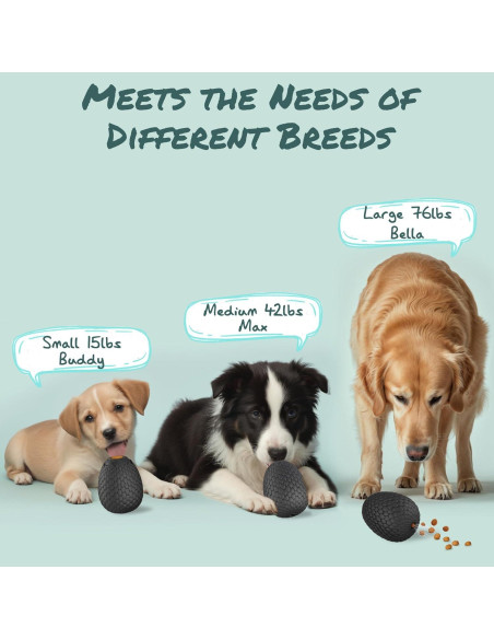 Juguete Masticable Interactivo para Perros SAMFAT 2-en-1 Negro Juguete Masticable Interactivo para Perros SAMFAT 2-en-1 Negro