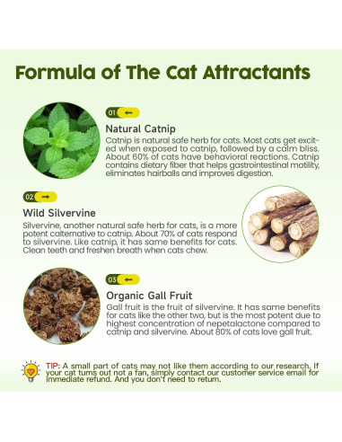 Juguetes para Gatos Potaroma - 3 Piezas Catnip y Silvervine