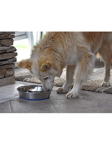 Cuenco de Alimentación Lenta para Perros Durapet Acero Inoxidable Grande