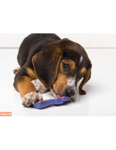 Hartz Chew 'n Clean Dental Duo Juguete y Golosina para Perros