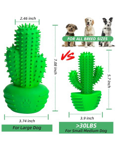 Juguete Cepillo de Dientes para Perros Pamlulu Mediano Verde 2
