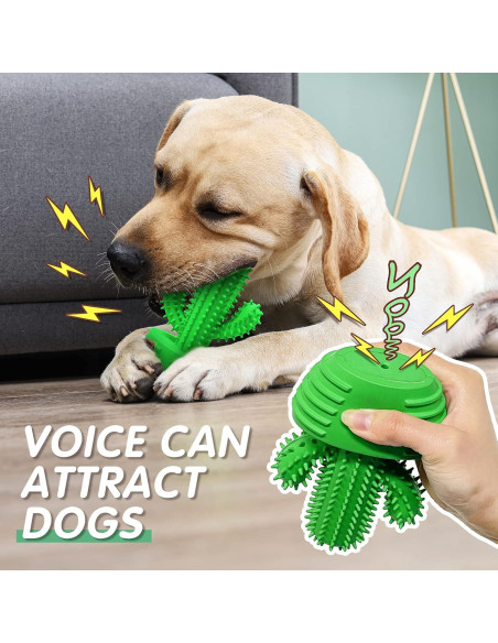 Juguete Cepillo de Dientes para Perros Pamlulu Mediano Verde Juguete Cepillo de Dientes para Perros Pamlulu Mediano Verde