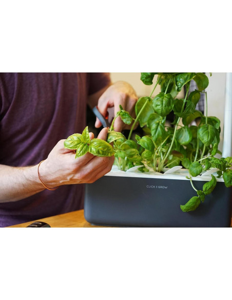 Kit Jardín Interior Click & Grow con Luz LED y 3 Cápsulas Kit Jardín Interior Click & Grow con Luz LED y 3 Cápsulas