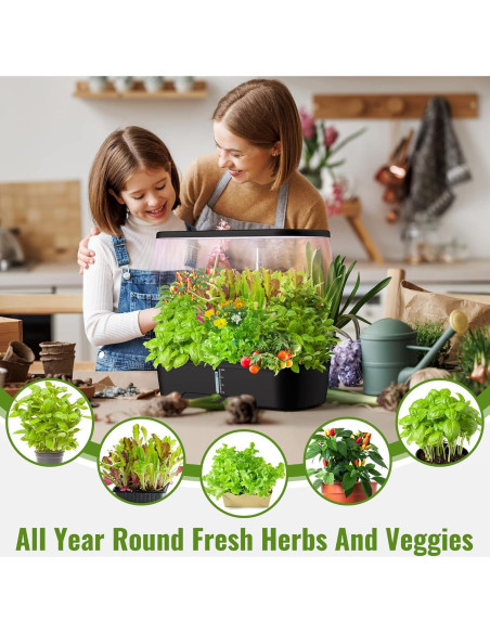Sistema de Cultivo Hidropónico Interior CYBSDF 12 Cápsulas LED Sistema de Cultivo Hidropónico Interior CYBSDF 12 Cápsulas LED