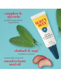 Tratamiento para Herpes Labial y Balsamo Labial Burt's Bees 2