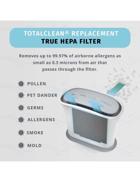 Filtro de Reemplazo HEPA-Tipo Homedics TotalClean AF-10FL Filtro de Reemplazo HEPA-Tipo Homedics TotalClean AF-10FL