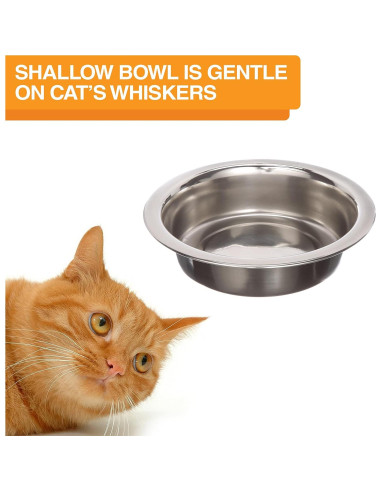 Neater Feeder Express Alimentador Elevado para Gatos Gris