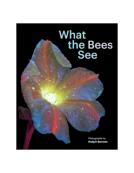 What the Bees See: A Honeybee's Eye View of the World What the Bees See: A Honeybee's Eye View of the World