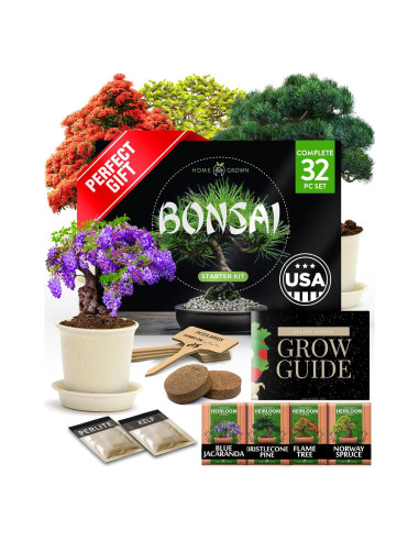 Kit de Bonsai HOME GROWN - Cultiva 4 Árboles - Regalo Único