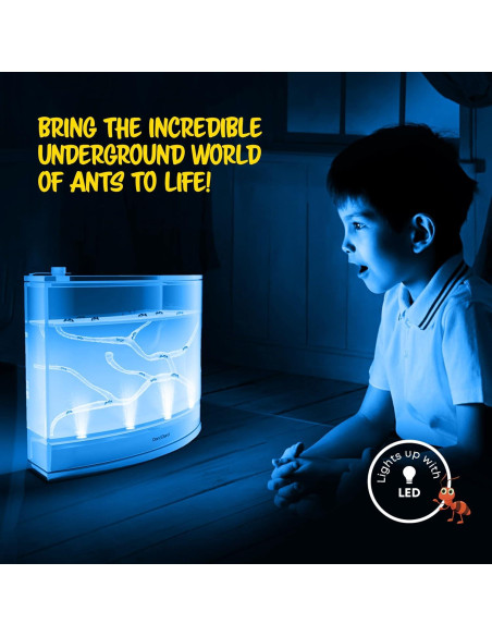 Terrario de Hormigas LED Dan&Darci - Gel Brillante y Libro Terrario de Hormigas LED Dan&Darci - Gel Brillante y Libro