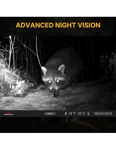 Cámara de sendero WOSPORTS 24MP 1080P visión nocturna