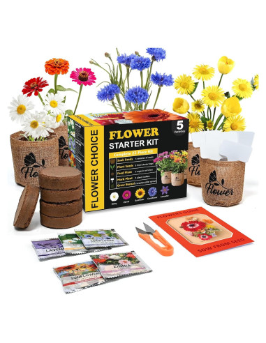 Kit de Jardín de Margaritas Meekear - 5 Bolsas, Discos y Tijeras
