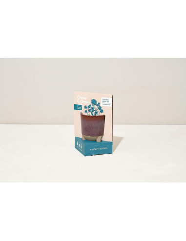 Kit de Crecimiento de Flores + Vela Aromática Modern Sprout