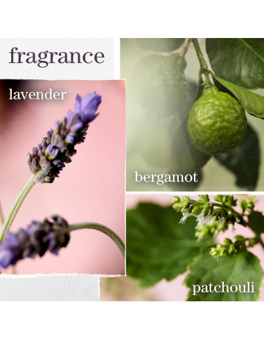 Champú Hidratante Pureology Hydrate Sheer 266 ml - Cabello Fino