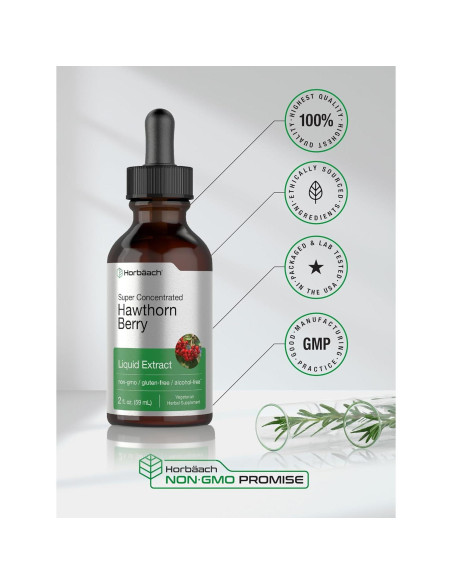 Extracto de Baya de Espino Horbach 60 ml Sin Alcohol Extracto de Baya de Espino Horbach 60 ml Sin Alcohol
