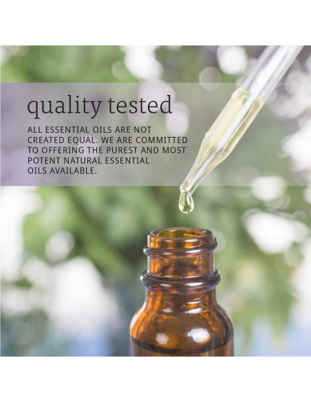 Aceite Esencial de Eucalipto NOW 100% Puro 118.3 ml Aceite Esencial de Eucalipto NOW 100% Puro 118.3 ml