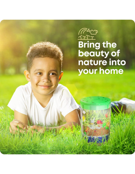 Kit de Terrario Iluminado Dan&Darci para Niños - Juguete STEM Kit de Terrario Iluminado Dan&Darci para Niños - Juguete STEM