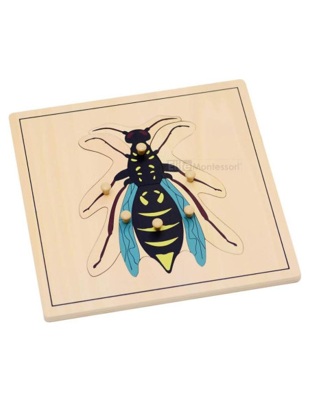 Rompecabezas de Botánica Montessori Elite 24x24 cm Rompecabezas de Botánica Montessori Elite 24x24 cm