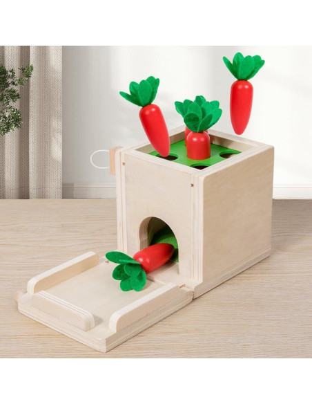 Juguete Educativo de Habilidad Práctica EduLand 5-en-1 para Niños