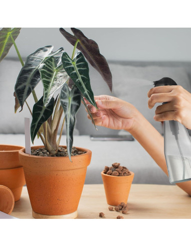 Botella Spray Continuo Lusiyi 300ml para Cabello y Plantas