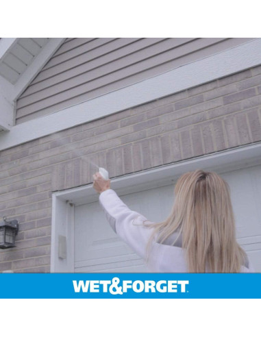 Asesino de Arañas Wet & Forget 803064 1.89L Listo para Usar