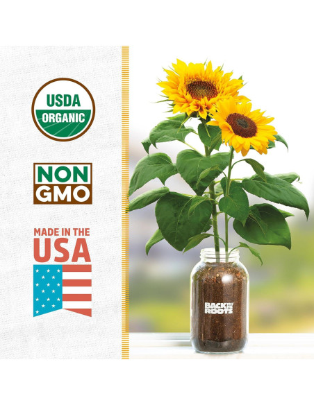 Kit de Maceta de Girasol Back to the Roots - Cultivo Interior Kit de Maceta de Girasol Back to the Roots - Cultivo Interior