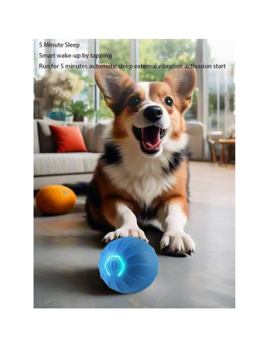 Pelota LED Interactiva para Perros Winb 5.2 cm Recargable USB