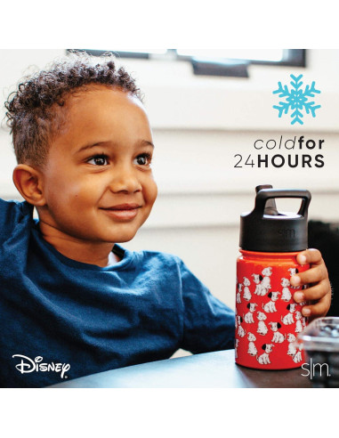 Botella de Agua Simple Modern Disney Frozen Elsa 396ml