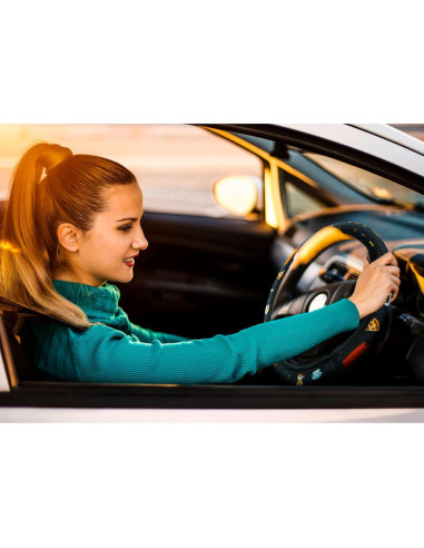 Juego de Accesorios para Auto 15 Piezas TnLnYn Universal