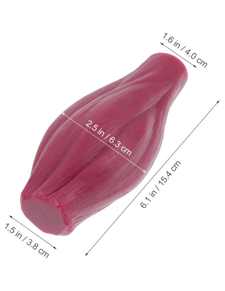 Réplica de Cuerpo Humano Muscular BESPORTBLE 1lb Silicona Réplica de Cuerpo Humano Muscular BESPORTBLE 1lb Silicona