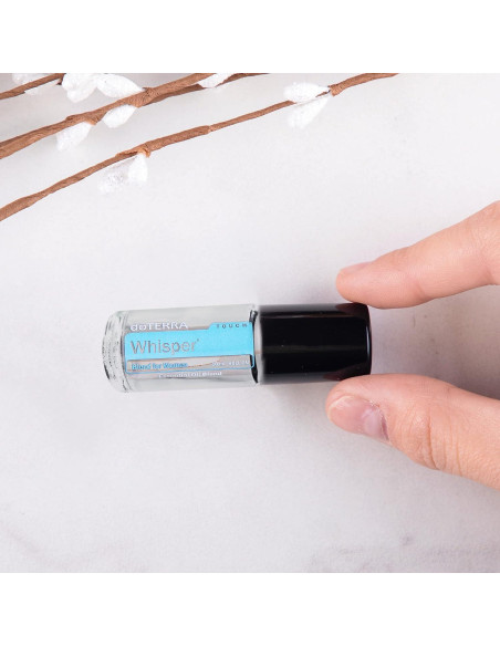 Tubos de Vidrio Roll-On Super Z Outlet 5 ml - 24 Piezas Tubos de Vidrio Roll-On Super Z Outlet 5 ml - 24 Piezas