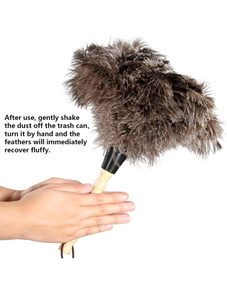 Plumero de Plumas de Avestruz NEWONG 2pcs 35.56 cm Plumero de Plumas de Avestruz NEWONG 2pcs 35.56 cm