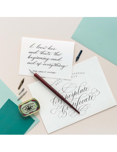 Conjunto de Plumas de Caligrafía Manuscript Copperplate y Shadow