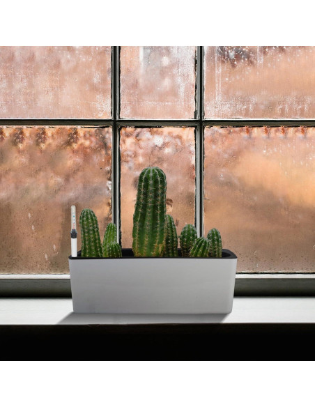 Indicadores de Nivel de Agua TUESMEILL 4 Piezas para Plantas Indicadores de Nivel de Agua TUESMEILL 4 Piezas para Plantas