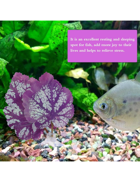 Hamaca de Hoja para Peces Betta Balacoo - Decoración Acuario Hamaca de Hoja para Peces Betta Balacoo - Decoración Acuario
