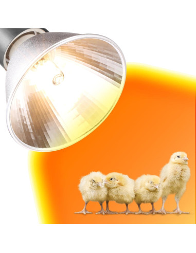 Paquete de 3 Lámparas de Calor G9 25W para Pollitos EXOREPTI