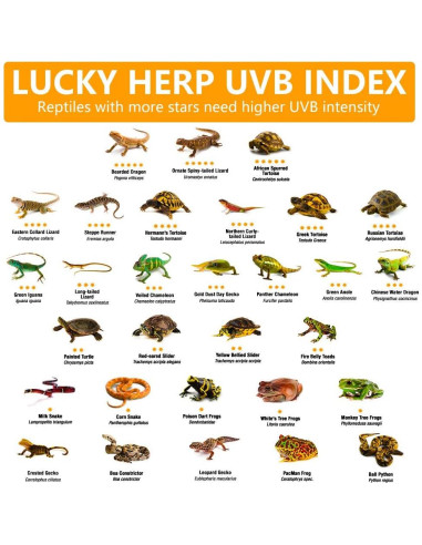 Bombilla de Calor UVA UVB LUCKY HERP 100W para Reptiles