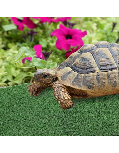 Césped Artificial para Tortugas Ipetboom 50x25 cm Verde